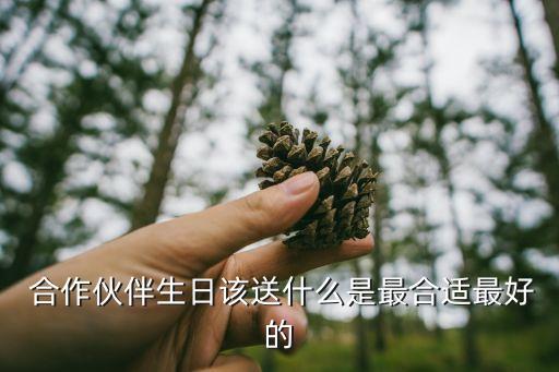  合作伙伴生日該送什么是最合適最好的