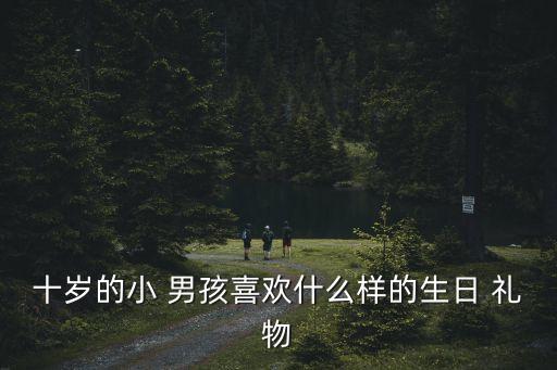 十歲的小 男孩喜歡什么樣的生日 禮物